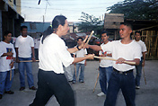 Pardo Training