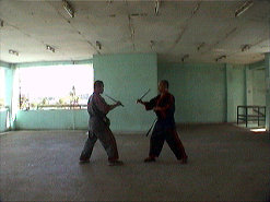 Senior students sparring.